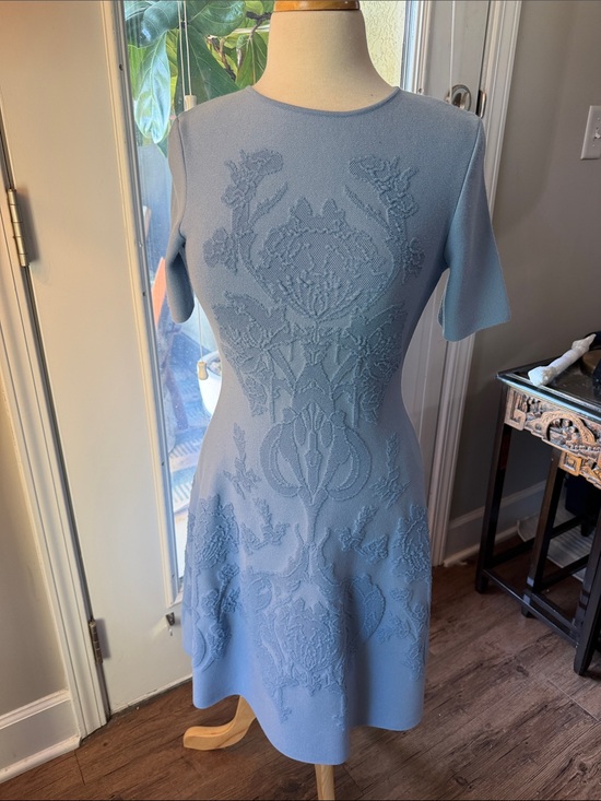 Oscar de la Renta Dresses & Skirts - Oscar de la Renta Powder Blue Embroidered Midi Dress medium like new